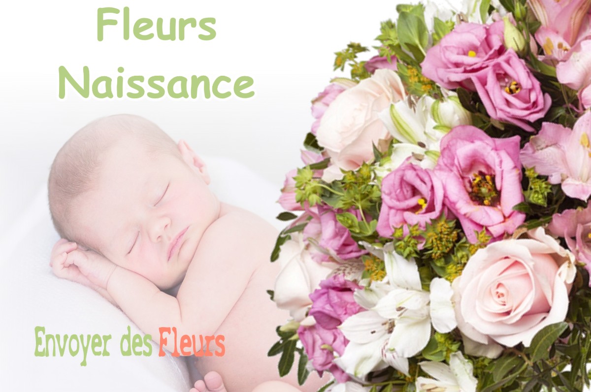 lIVRAISON FLEURS NAISSANCE à MEYRIEU-LES-ETANGS